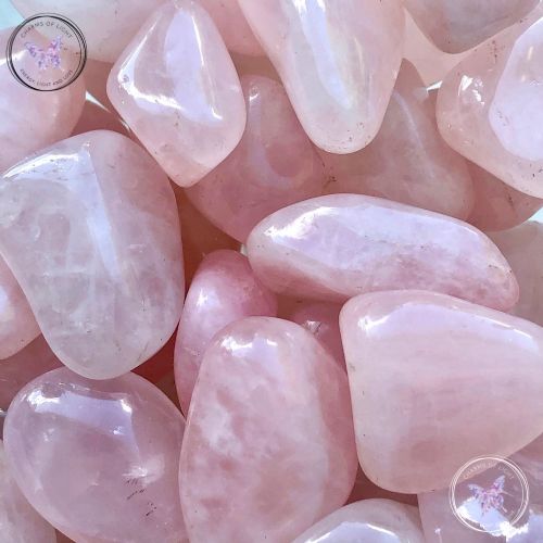 Rose Quartz Tumble Stone